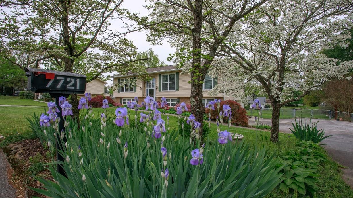 7721 Castlecomb Road Powell, TN 37849 - Photo 2 of 39 Beautiful lawn