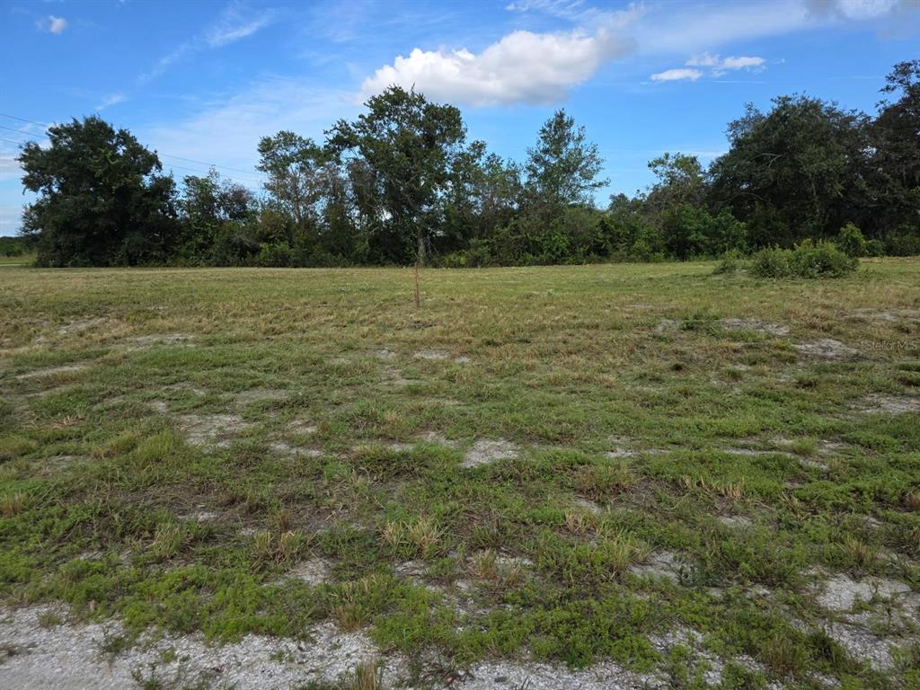 500 North Barrie Road Avon Park, FL 33825 - Photo 4 of 8 Gallery Image 4