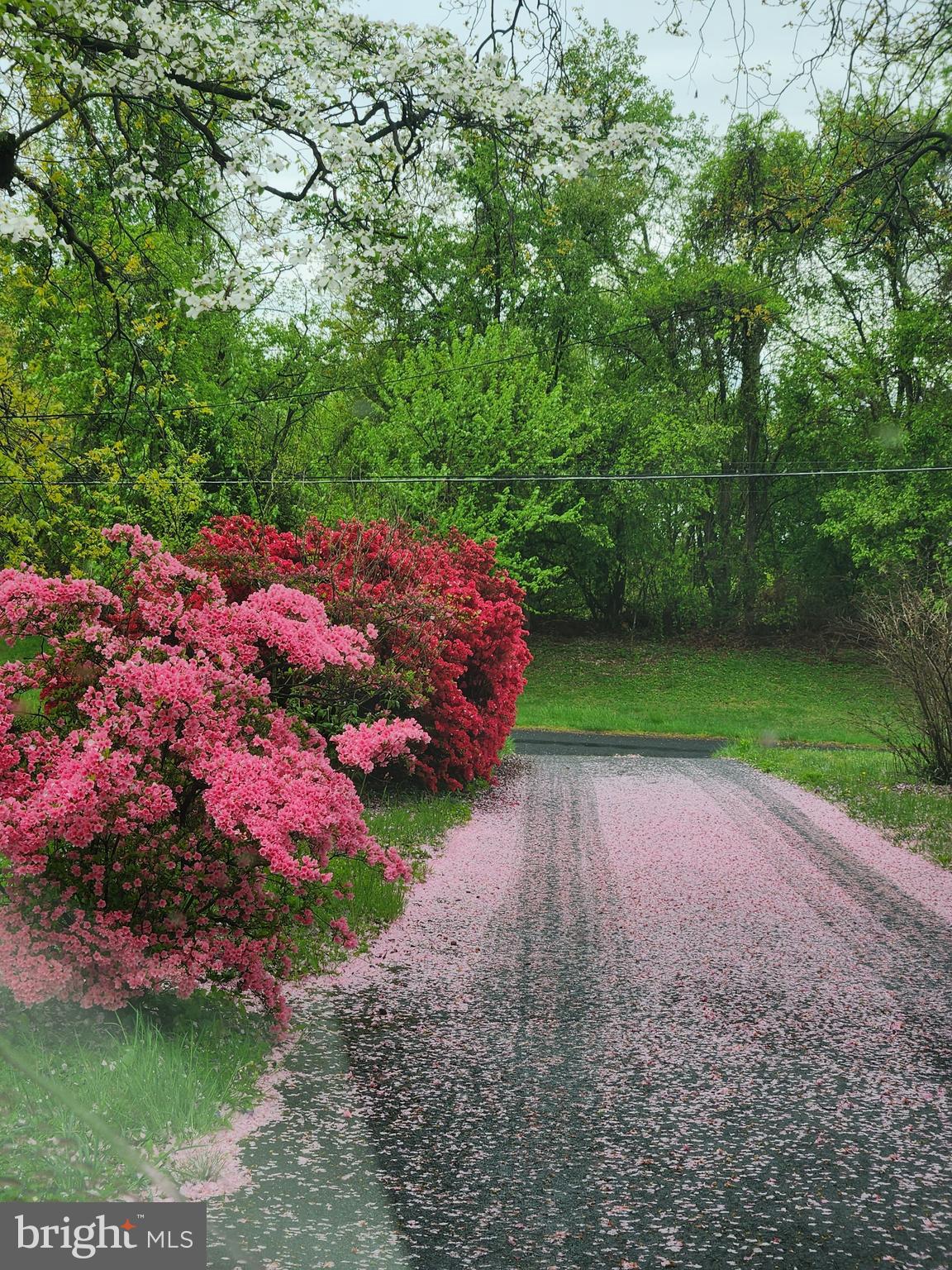 2911 Nelson Lane Fallston, MD 21047 - Photo 81 of 85 a view of a street with flower garden