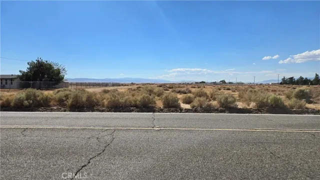 a view of a field with trees in background