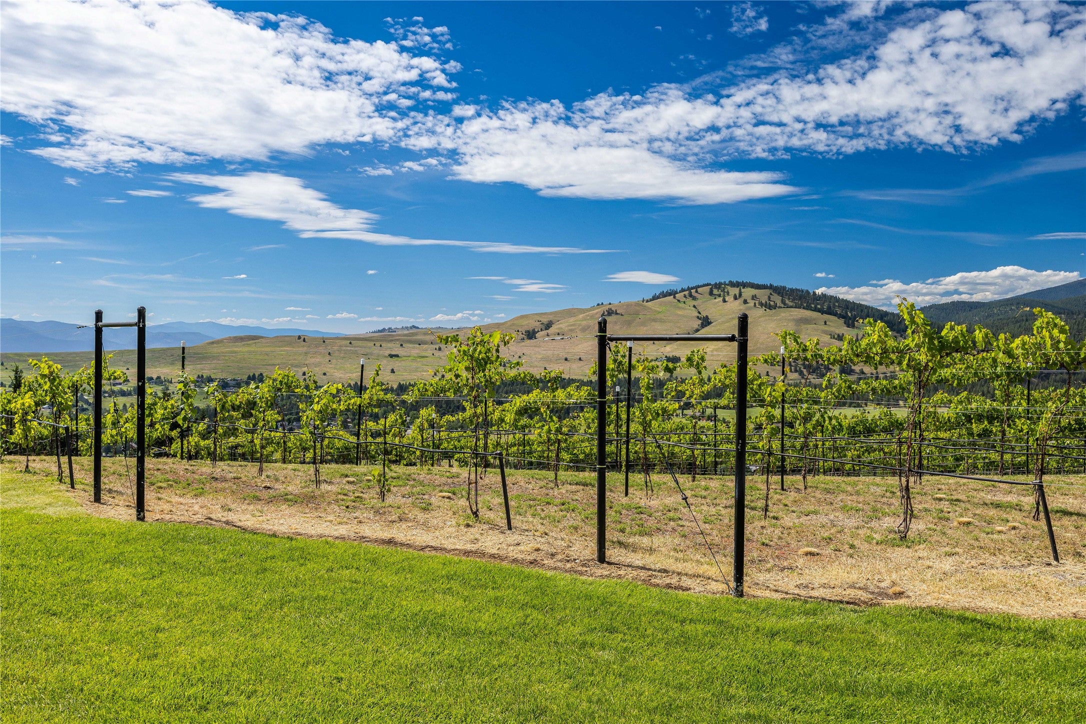 2722 Contour Road Missoula, MT 59802 - Photo 96 of 148 Gallery Image 96
