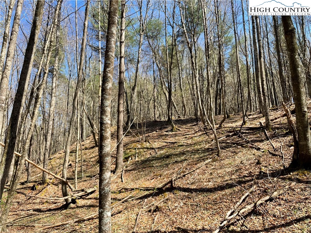 South Laurel Fork Road Laurel Springs, NC 28644 - Photo 29 of 31 Gallery Image 29