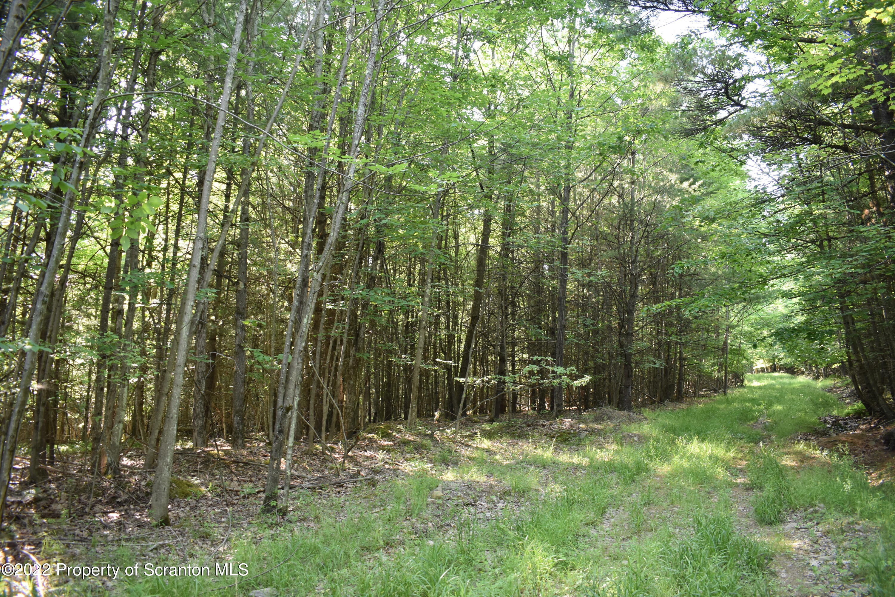 Shamberger Road Brackney, PA 18812 - Photo 20 of 32 Path