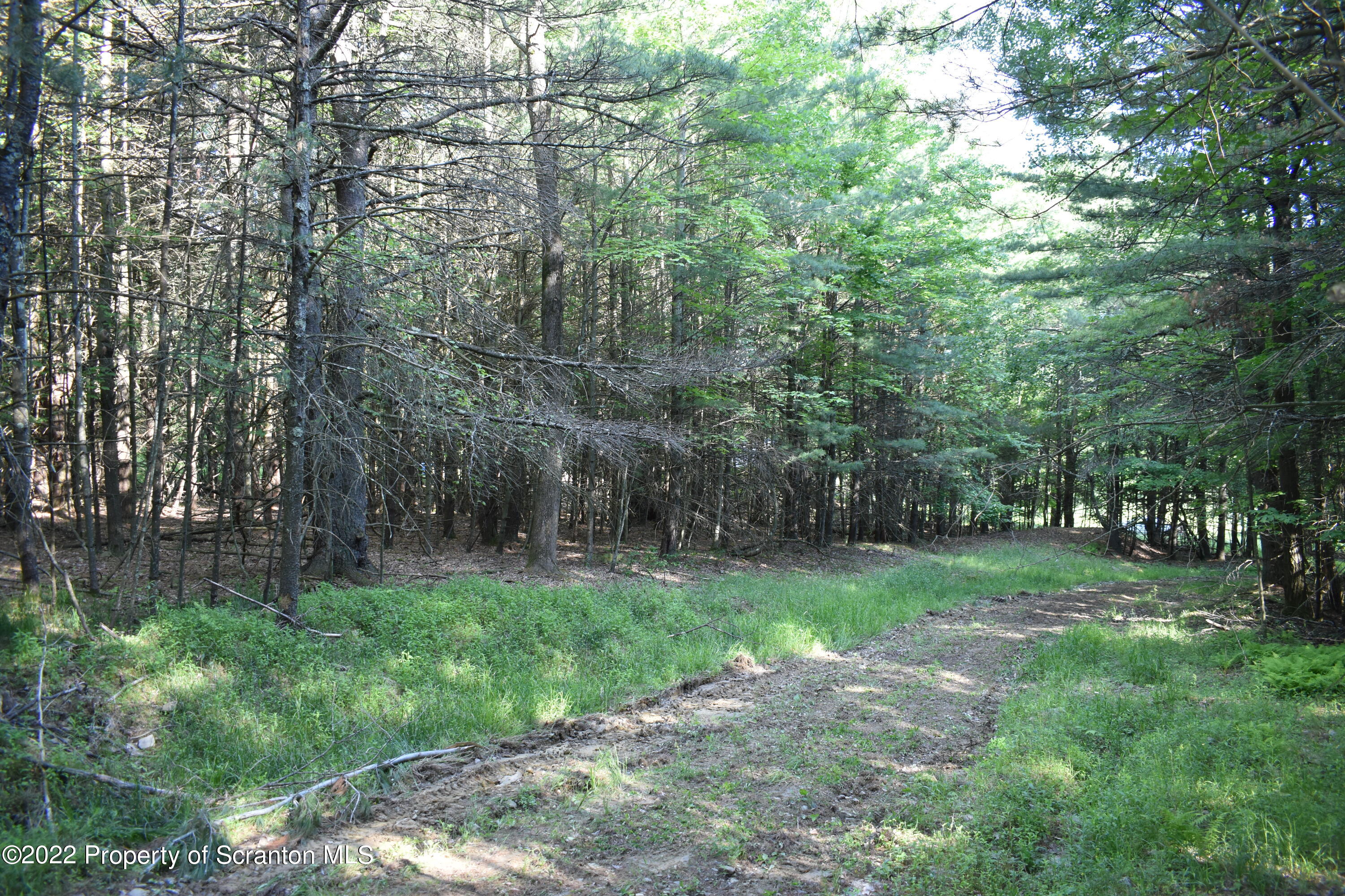 Shamberger Road Brackney, PA 18812 - Photo 21 of 32 Path