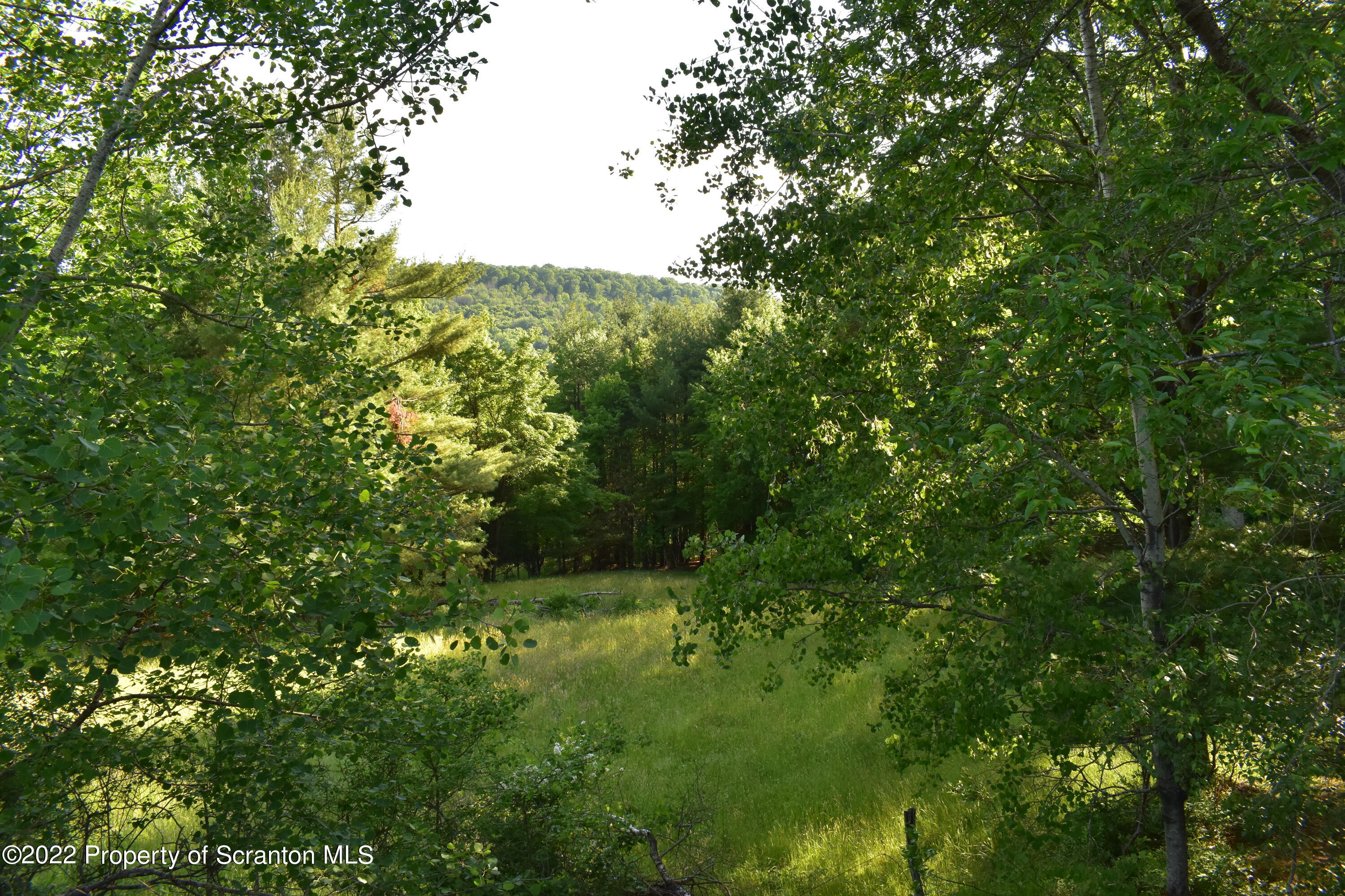 Shamberger Road Brackney, PA 18812 - Photo 28 of 32 Wooded area w/ Fields