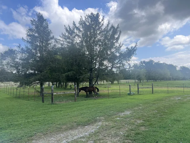 a view of park space