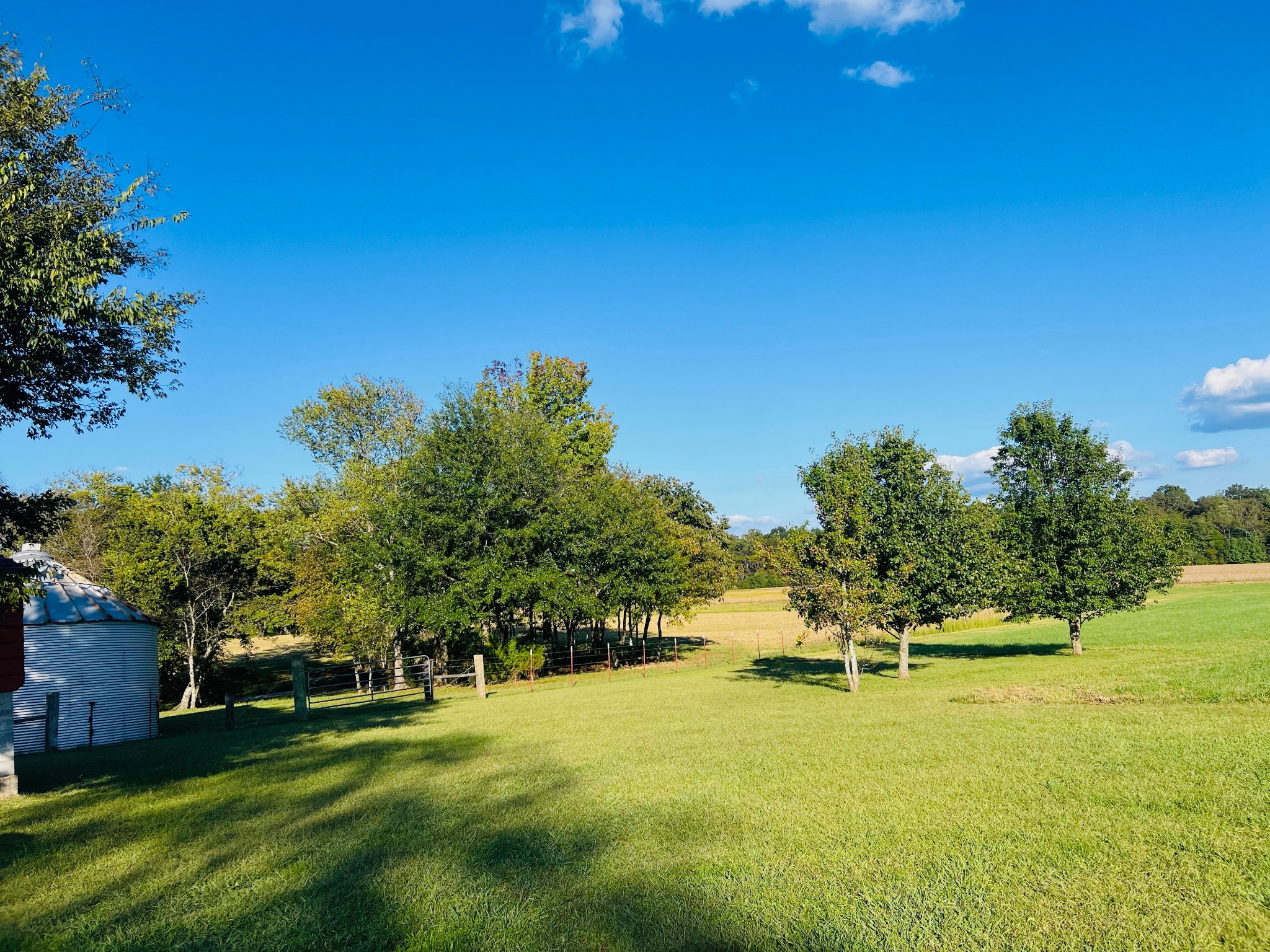 566 Clarence Finney Road Hillsboro, TN 37342 - Photo 39 of 47