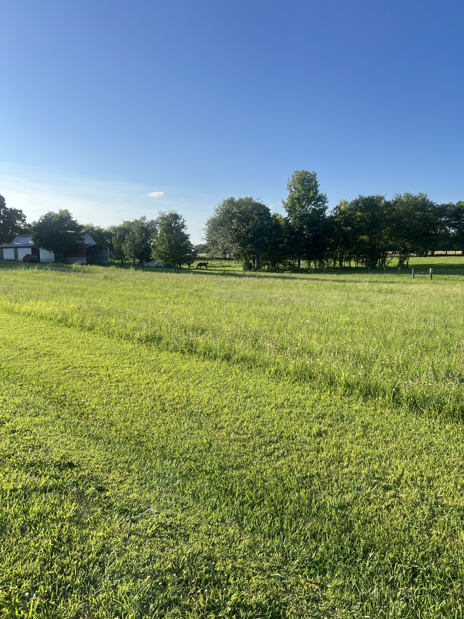 566 Clarence Finney Road Hillsboro, TN 37342 - Photo 43 of 47 a view of a field with an ocean