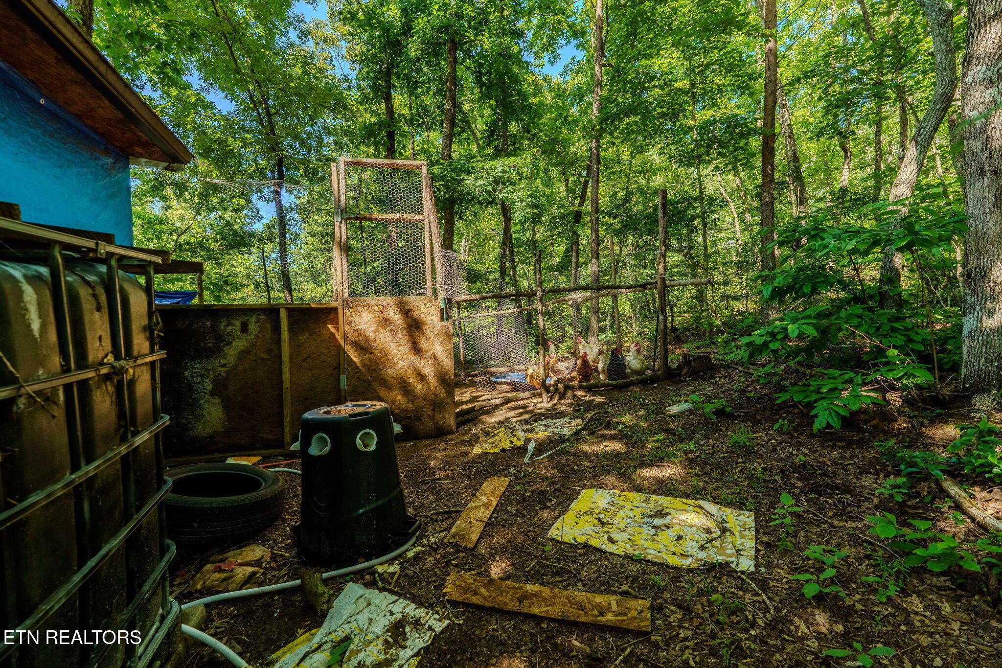 1360 Illuminary Firetower Road, Unit 9 Spring City, TN 37381 - Photo 17 of 30 1-web-or-mls-_DSC2158-HDR