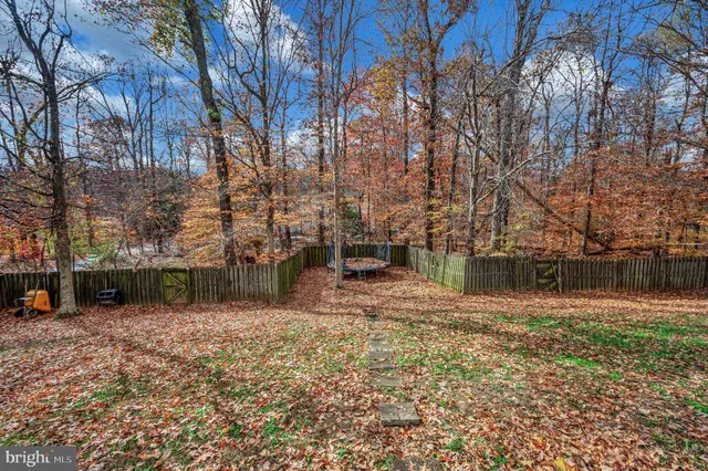 a view of a yard with large trees