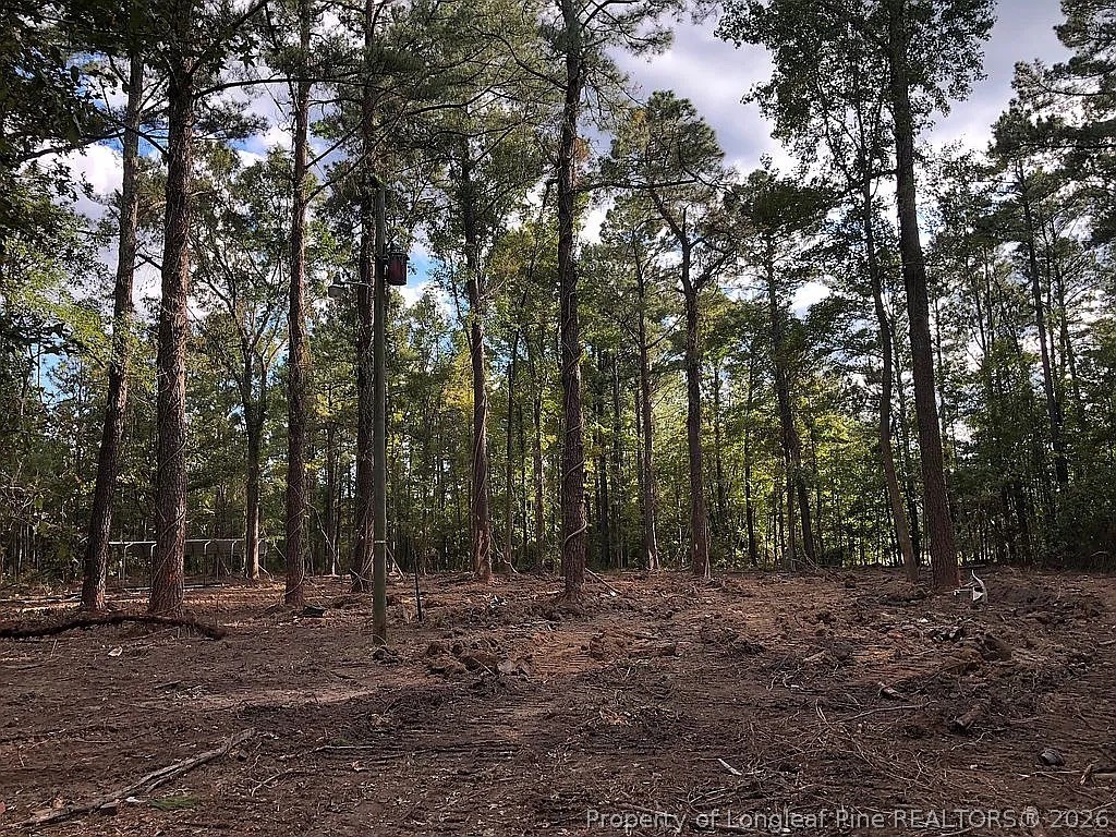 700 Slocomb Road Fayetteville, NC 28311 - Photo 4 of 9 a view of a forest with trees in the background