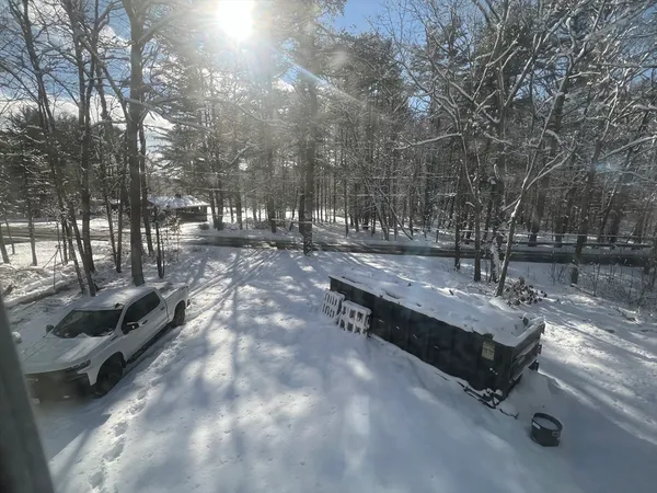 a view of a yard with tree s