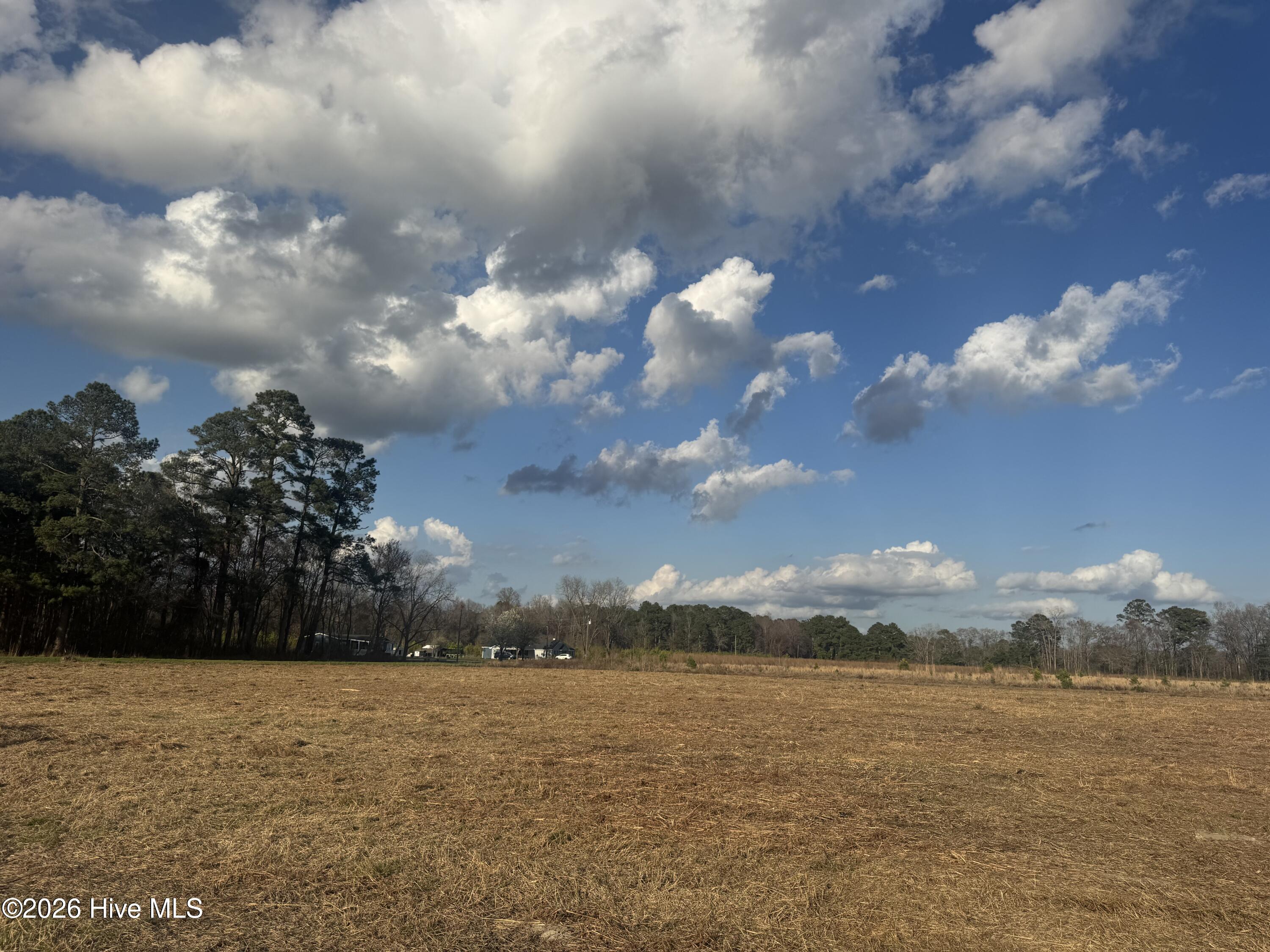 0 Old Fayetteville Road Garland, NC 28441 - Photo 10 of 10 IMG_3443