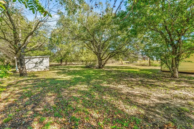 a view of yard with large trees
