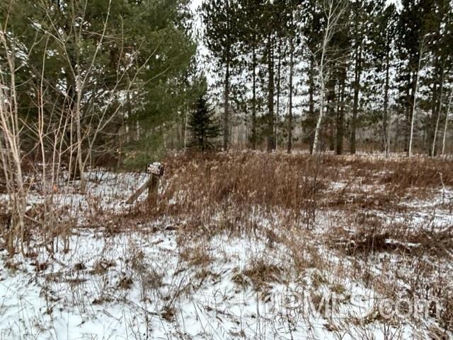 Tbd4 Larson Road Atlantic Mine, MI 49905 - Photo 31 of 41 Gallery Image 31