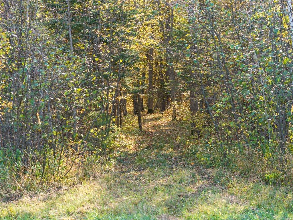 64 St Akeley Mn 56433 Akeley, MN 56433 - Photo 16 of 17