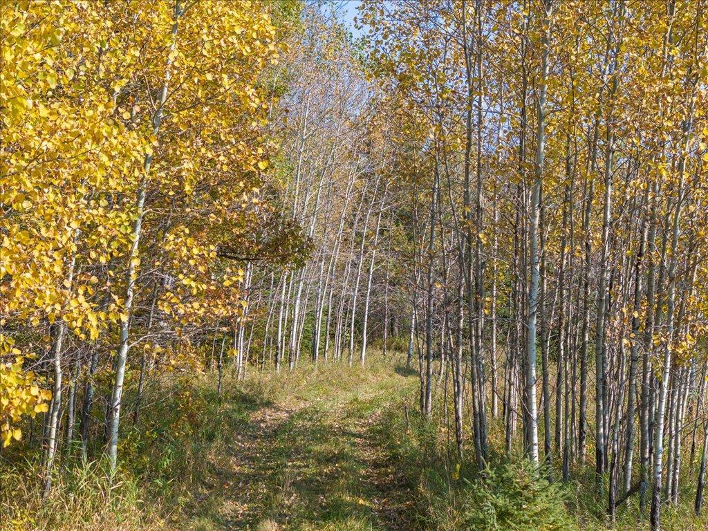 64 St Akeley Mn 56433 Akeley, MN 56433 - Photo 17 of 17