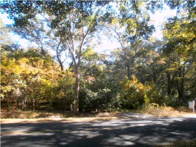 8079 Cedar Hall Road Edisto Island, SC 29438 - Photo 3 of 4 Additional Photo