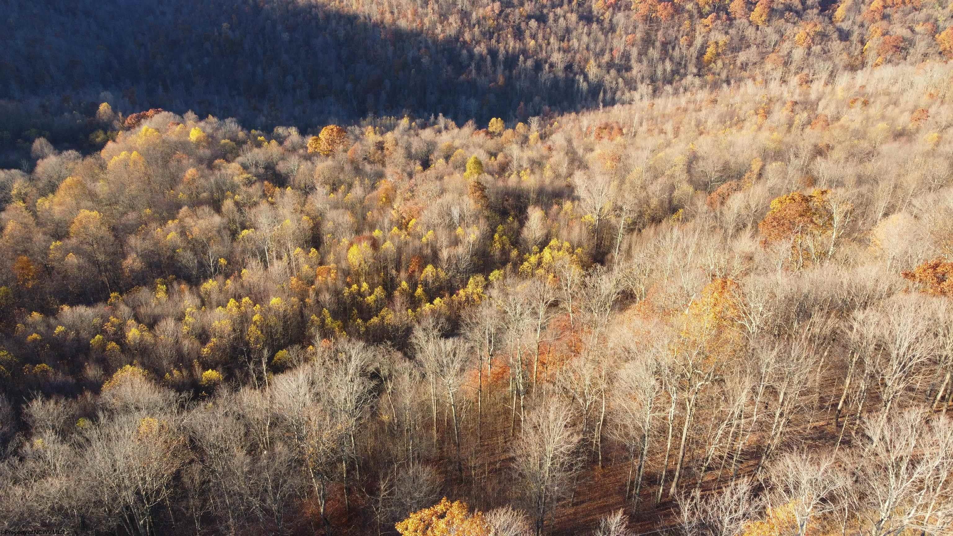 25-acres Stemple Ridge Road Aurora, WV 26705 - Photo 6 of 27 Gallery Image 6