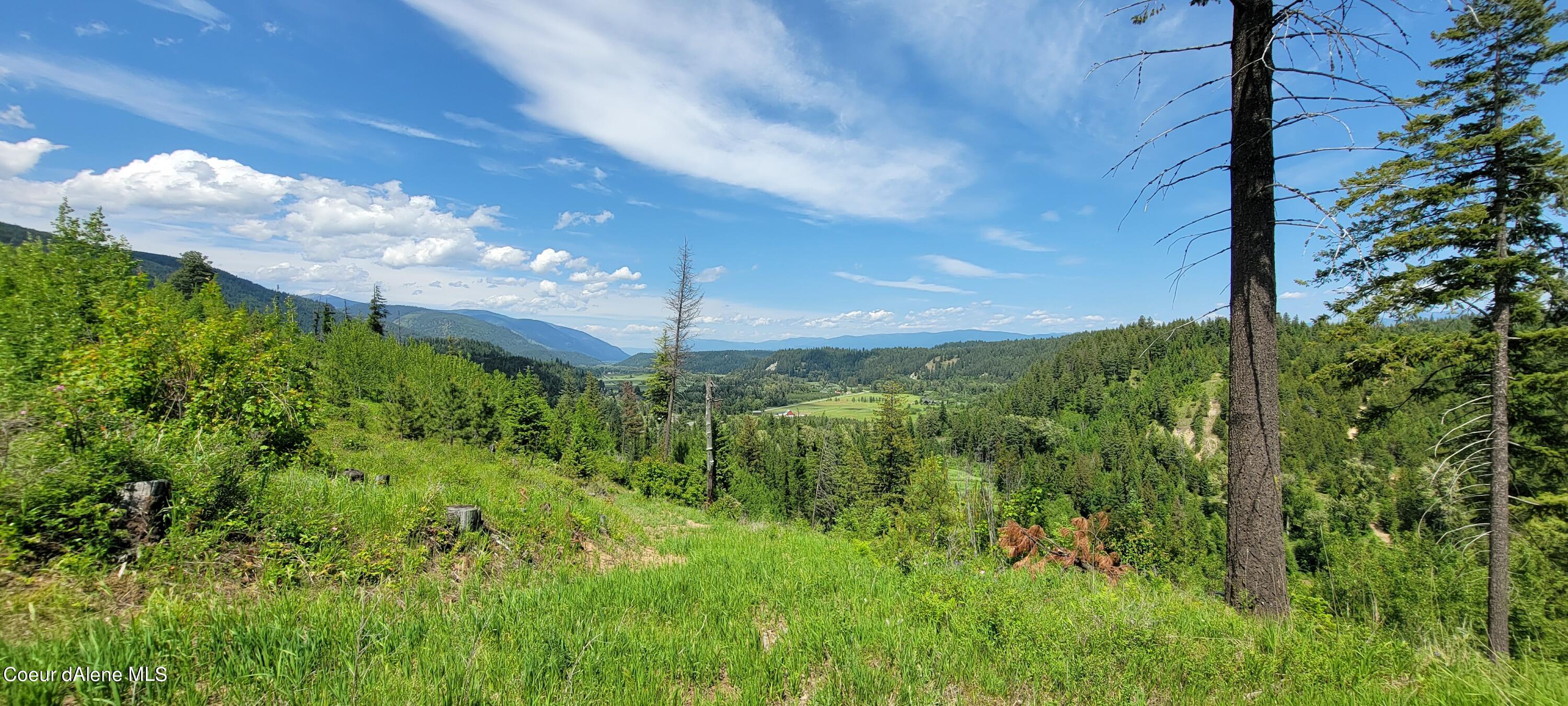 6 Bonners Ferry Naples, ID 83847 - Photo 4 of 22 20230530_132213