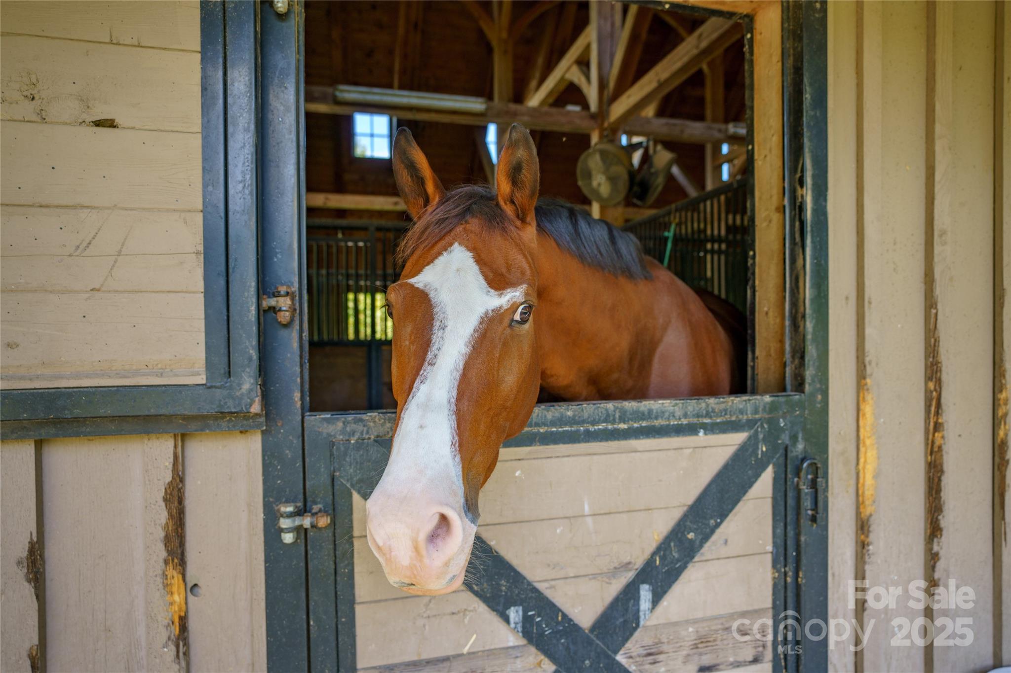 0 Nottingham Drive, Unit 237 Mill Spring, NC 28756 - Photo 11 of 48 a view of walk in closet with clothes and shoes