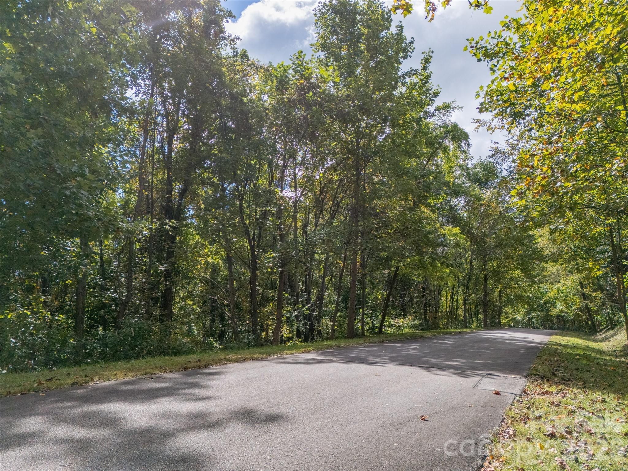 0 Nottingham Drive, Unit 237 Mill Spring, NC 28756 - Photo 18 of 45 a view of a street with a trees