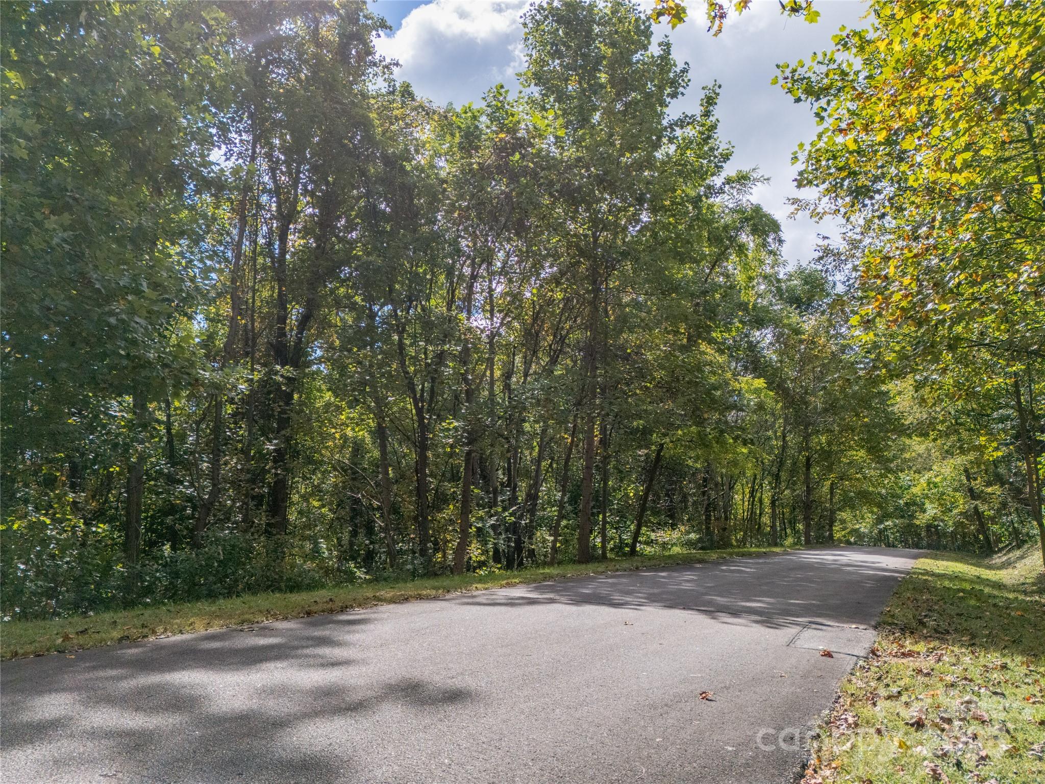 0 Nottingham Drive, Unit 237 Mill Spring, NC 28756 - Photo 19 of 48 a view of a field with trees in front of it