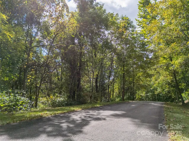 a view of a field with trees in the background