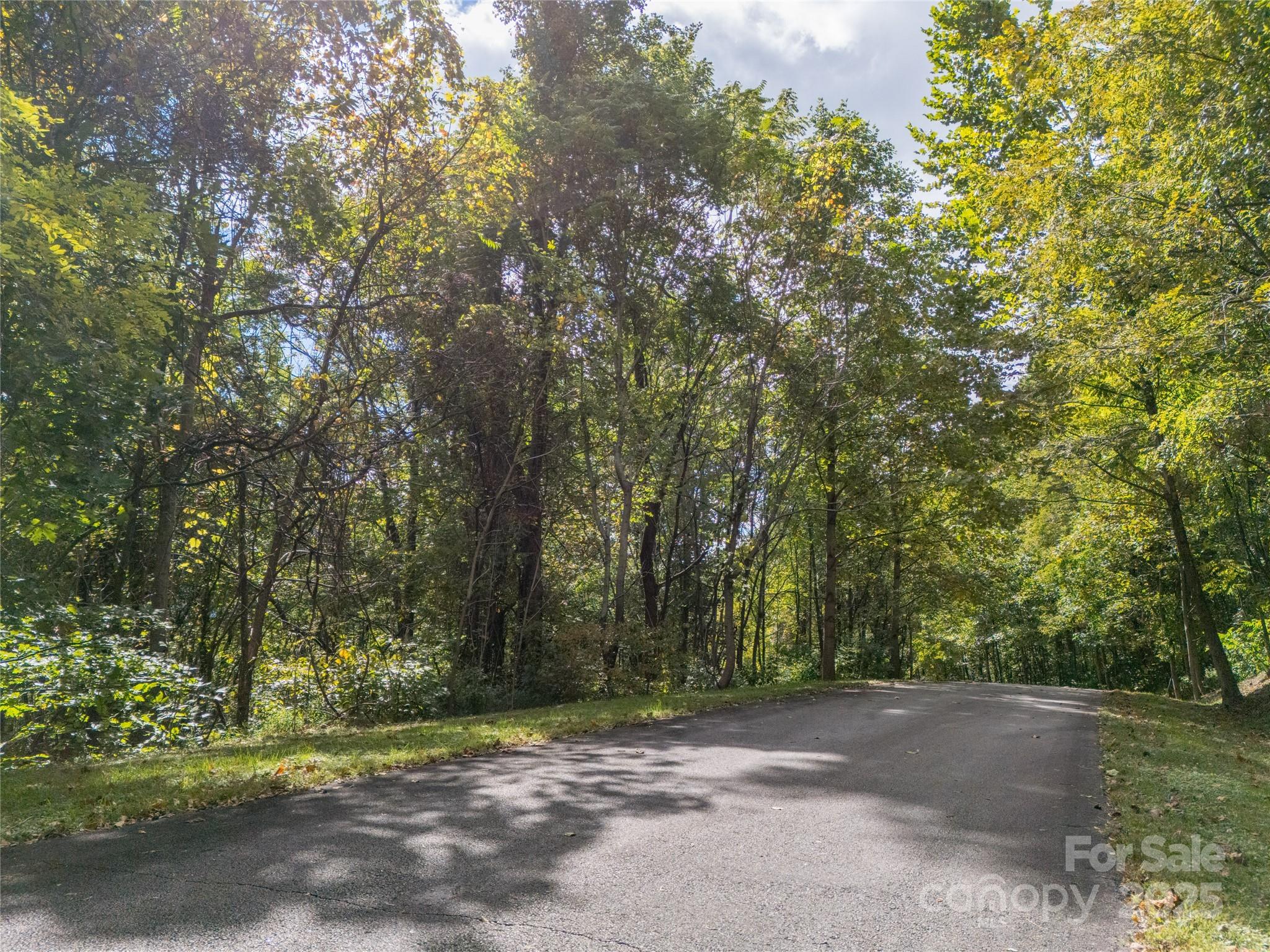 0 Nottingham Drive, Unit 237 Mill Spring, NC 28756 - Photo 20 of 48 a view of a field with trees in the background