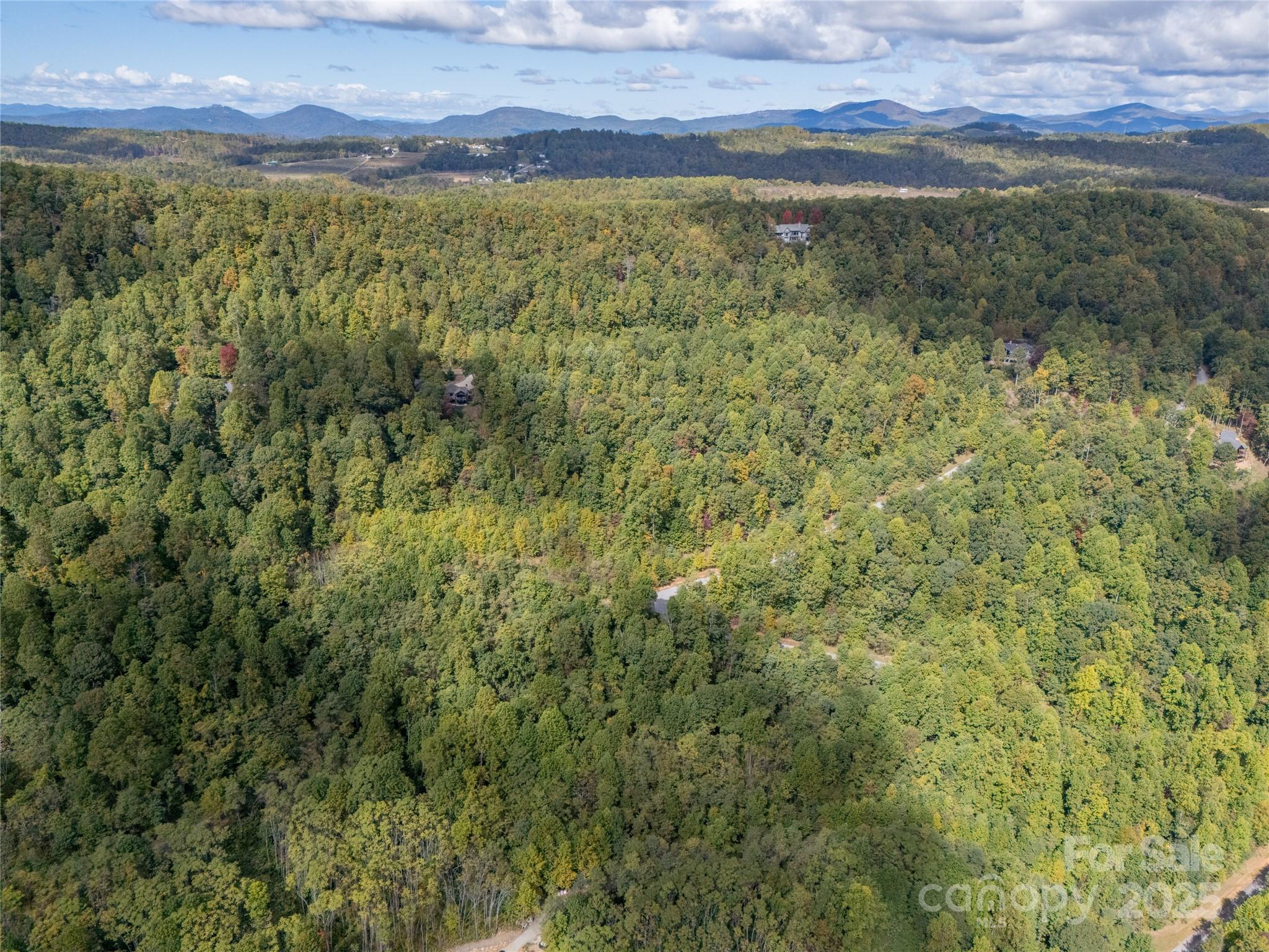0 Nottingham Drive, Unit 237 Mill Spring, NC 28756 - Photo 23 of 48 a view of a yard