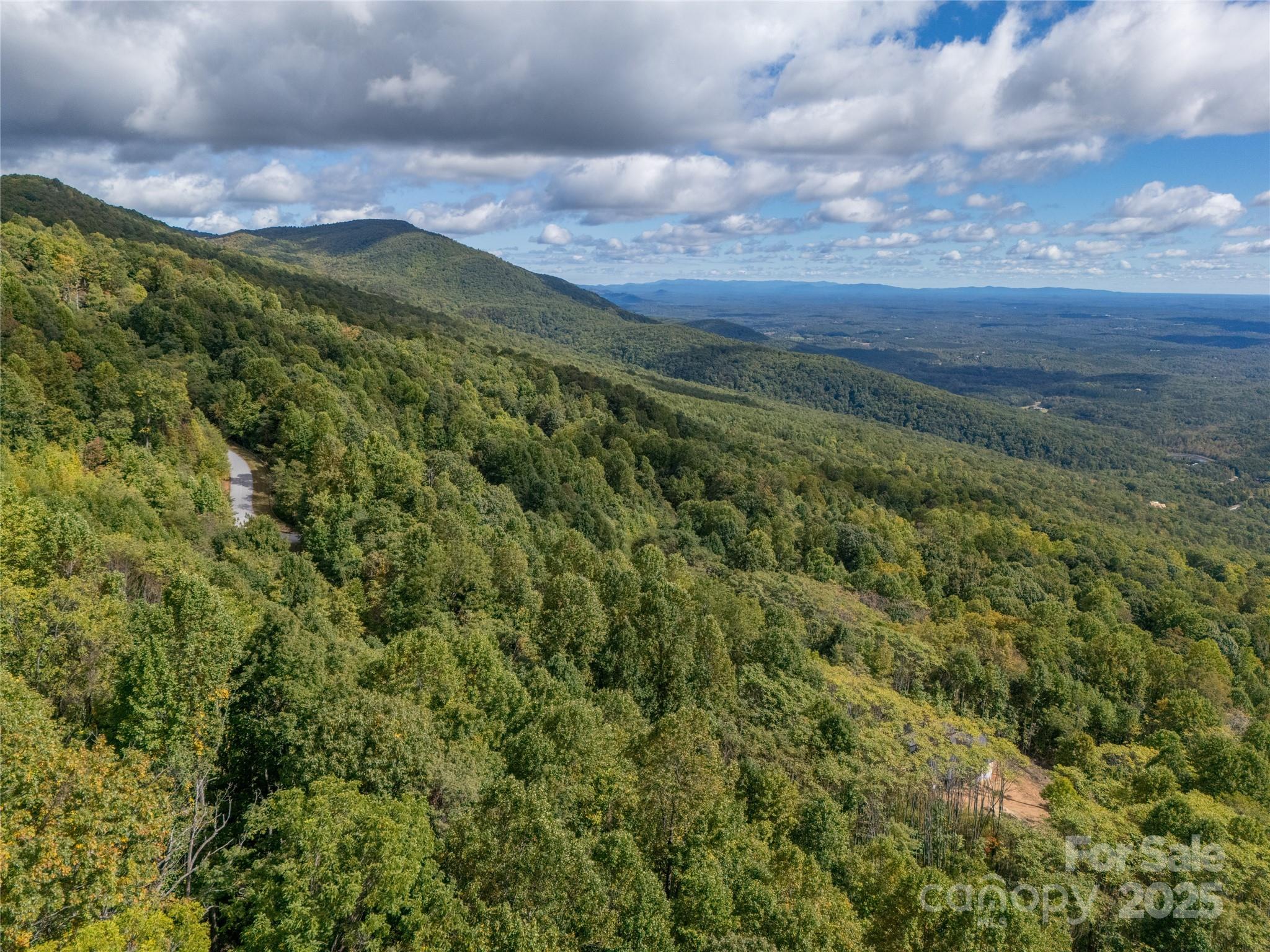 0 Nottingham Drive, Unit 237 Mill Spring, NC 28756 - Photo 26 of 48 a view of a city with lush green forest