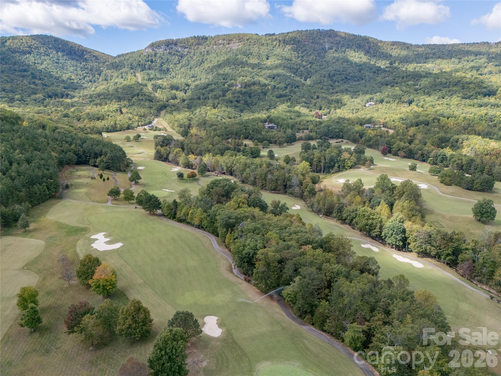 0 Nottingham Drive, Unit 237 Mill Spring, NC 28756 - Photo 30 of 45 a view of a city with mountains