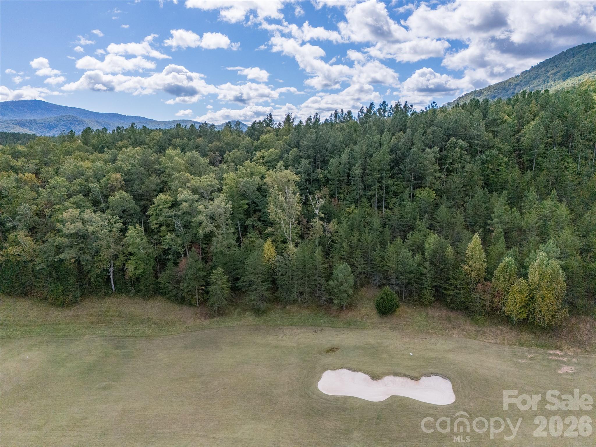 0 Nottingham Drive, Unit 237 Mill Spring, NC 28756 - Photo 31 of 45 a view of a city with lush green forest