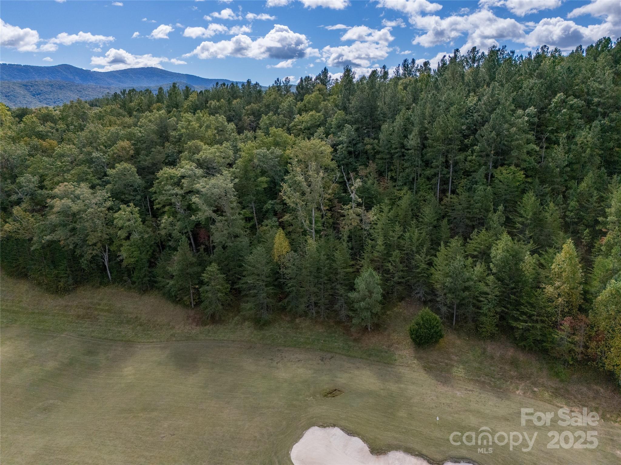 0 Nottingham Drive, Unit 237 Mill Spring, NC 28756 - Photo 37 of 48 a view of a forest with a yard