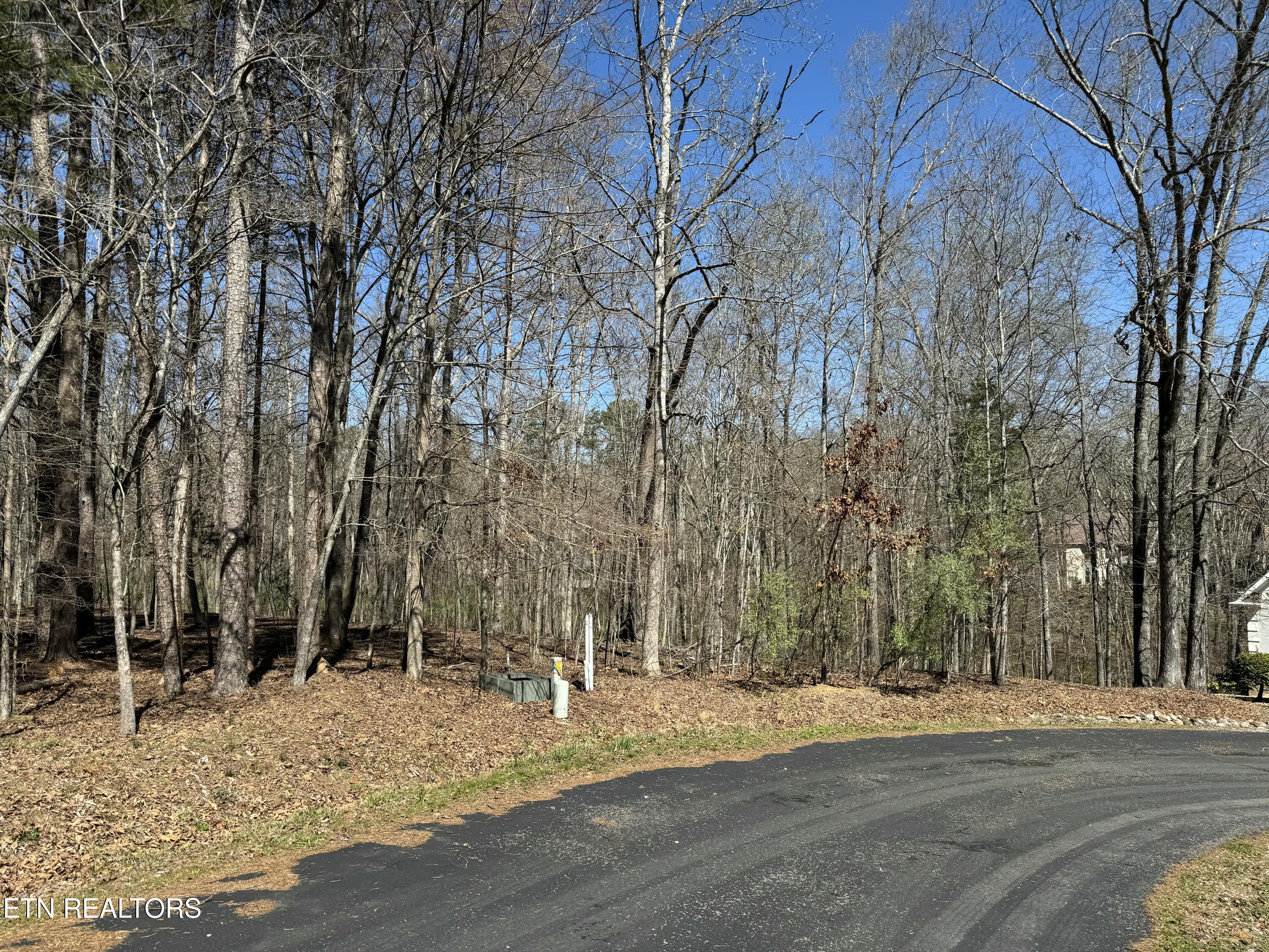 216 Erick Lane Loudon, TN 37774 - Photo 2 of 10 tempImageuHmHhF