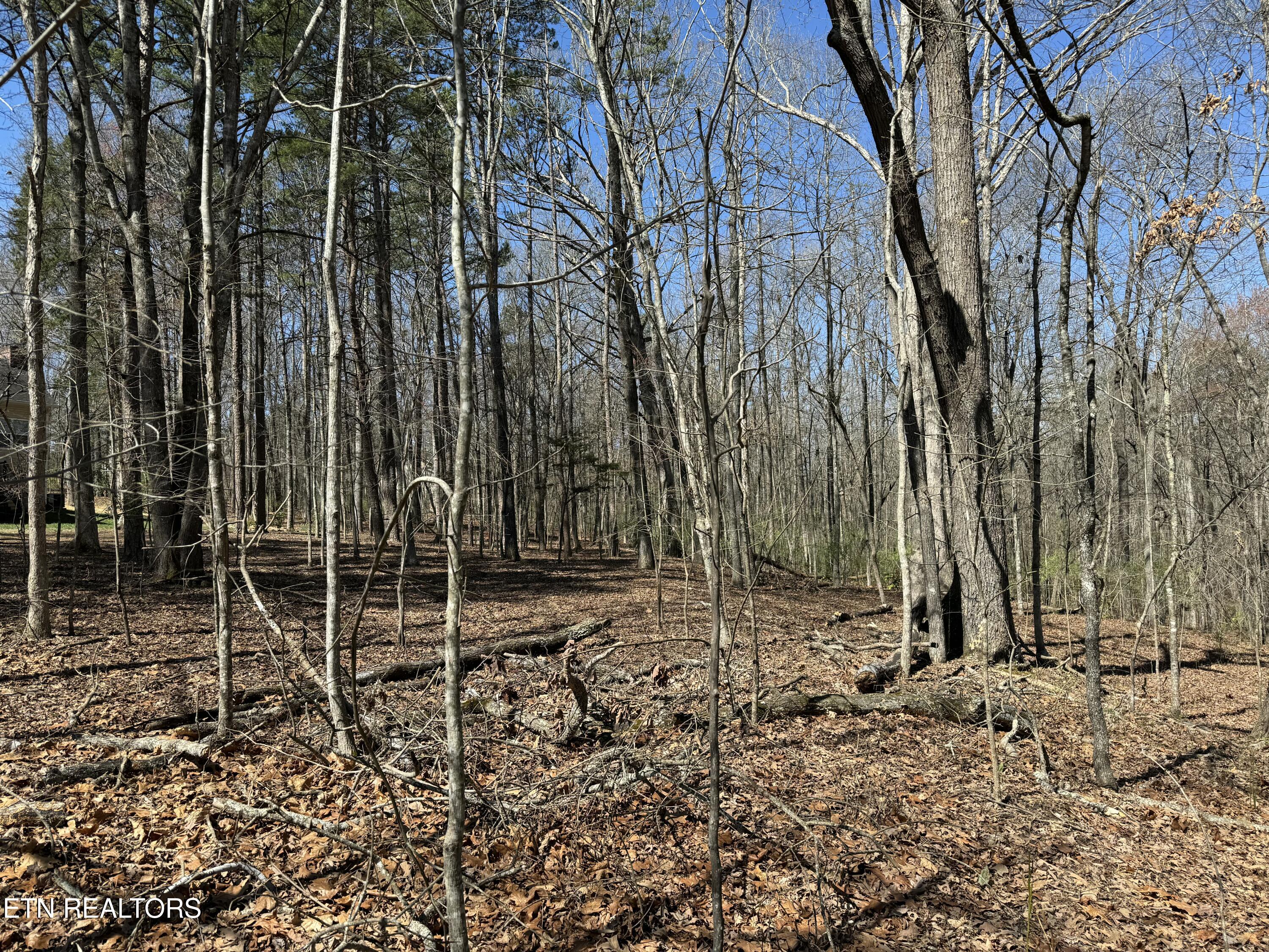 216 Erick Lane Loudon, TN 37774 - Photo 3 of 10 tempImagegy2YT0