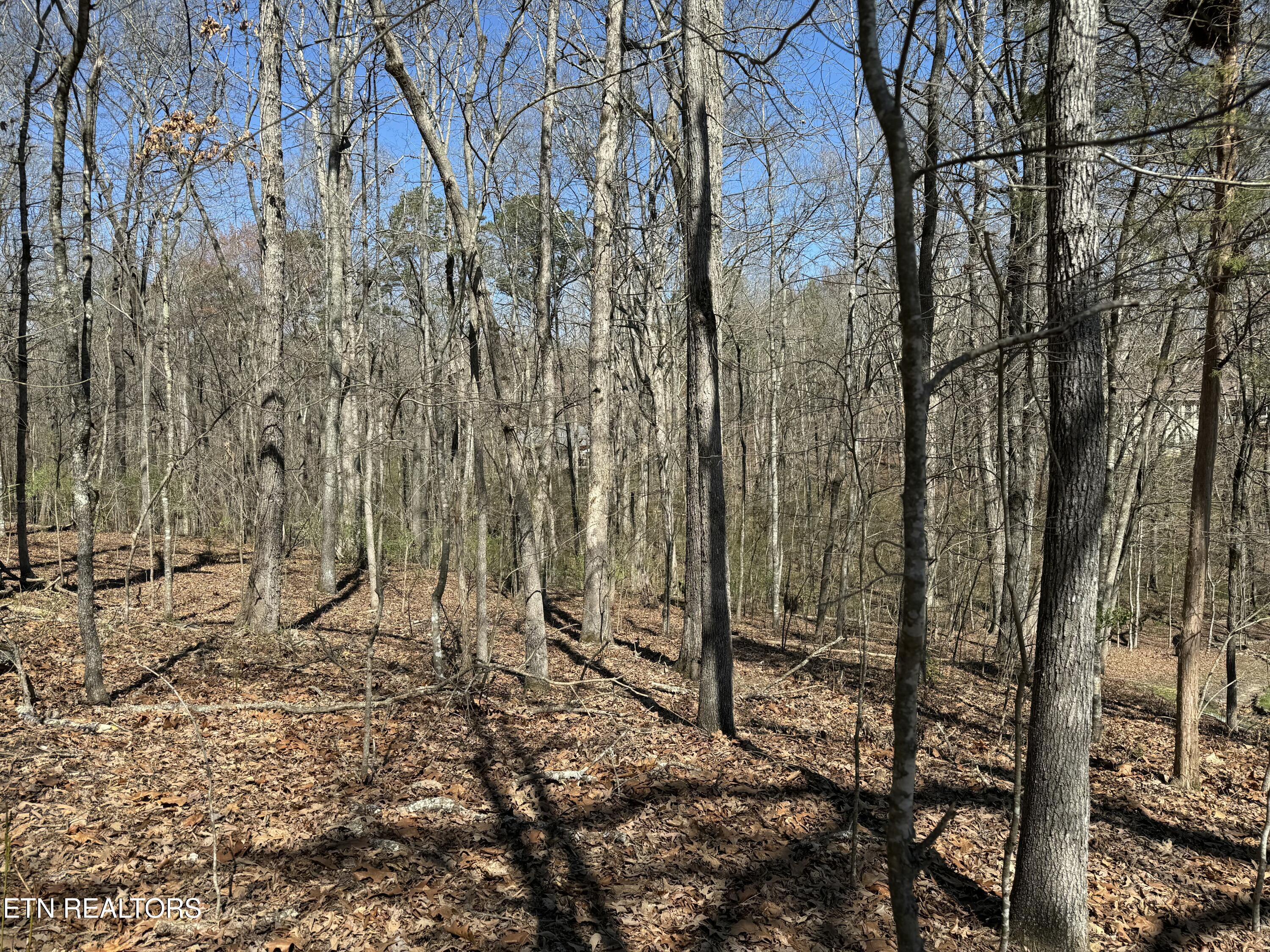 216 Erick Lane Loudon, TN 37774 - Photo 4 of 10 tempImage16VW9p