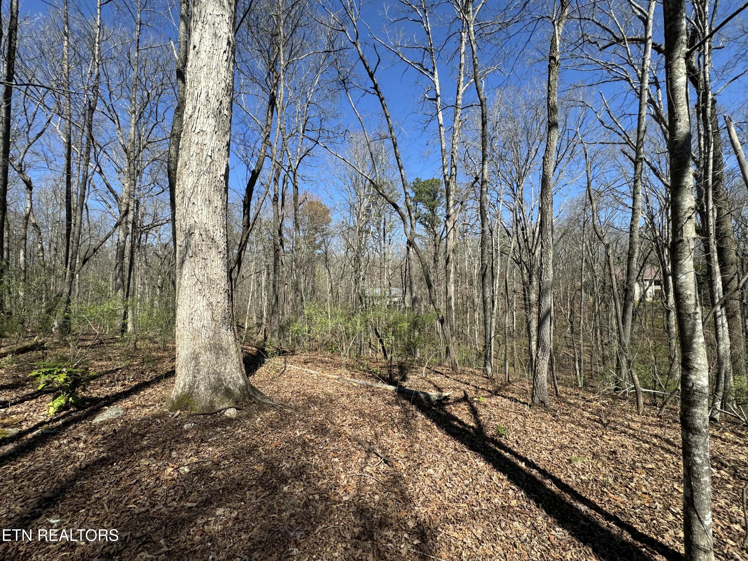 216 Erick Lane Loudon, TN 37774 - Photo 5 of 10 tempImageYRj620