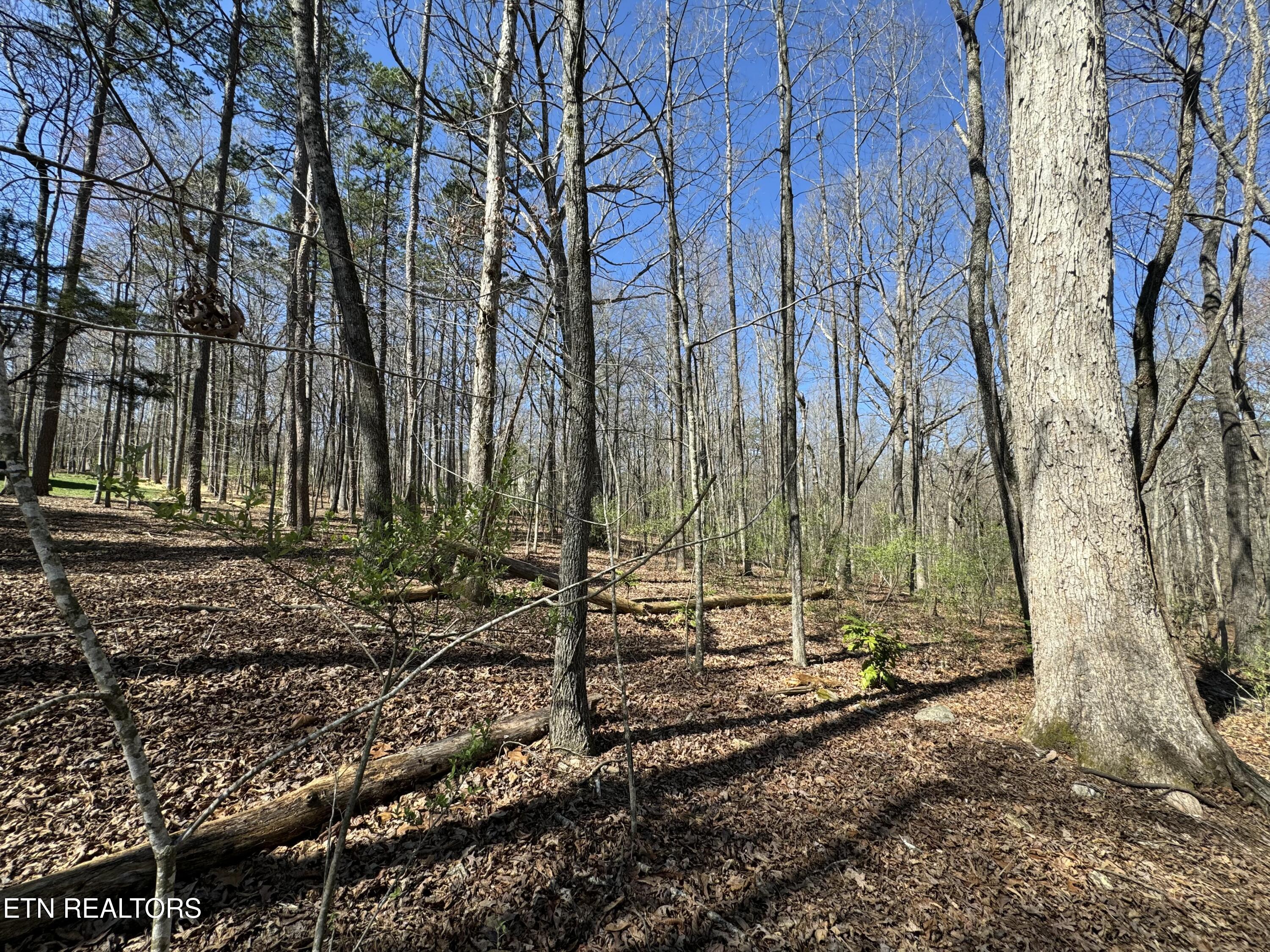 216 Erick Lane Loudon, TN 37774 - Photo 6 of 10 tempImagecVgTNd