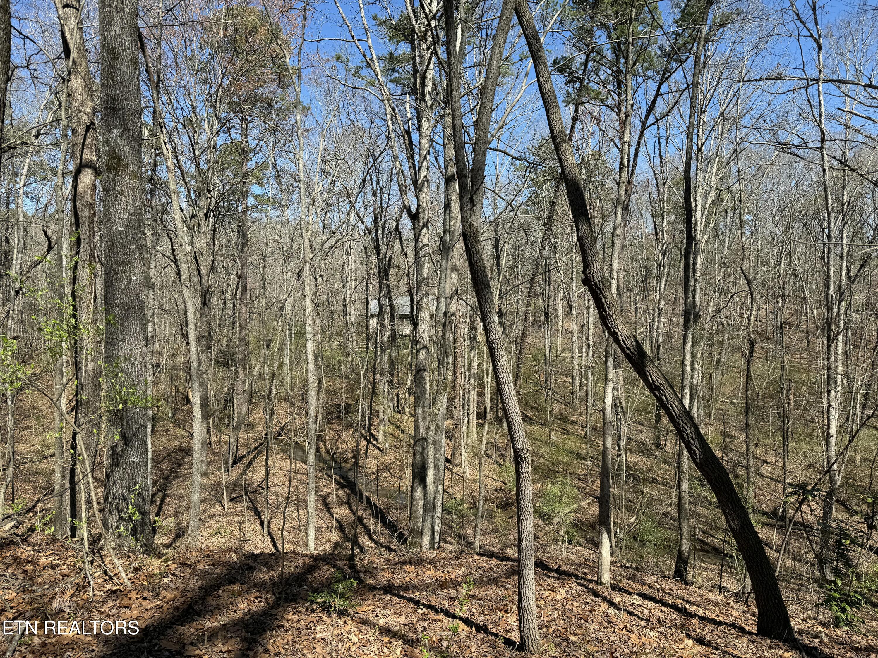 216 Erick Lane Loudon, TN 37774 - Photo 9 of 10 tempImageDGDf1h