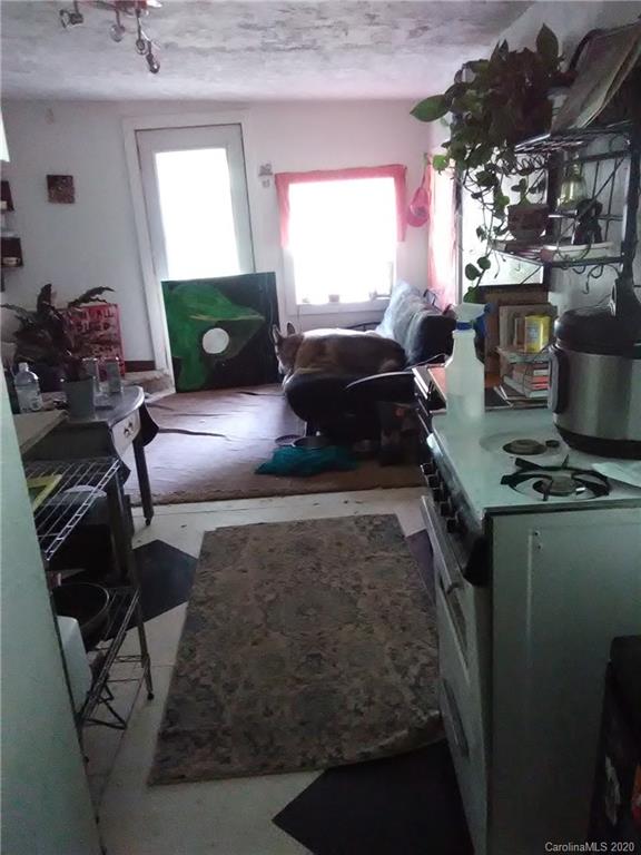 48 Sams Branch Road Candler, NC 28715 - Photo 29 of 34 Gallery Image 29
