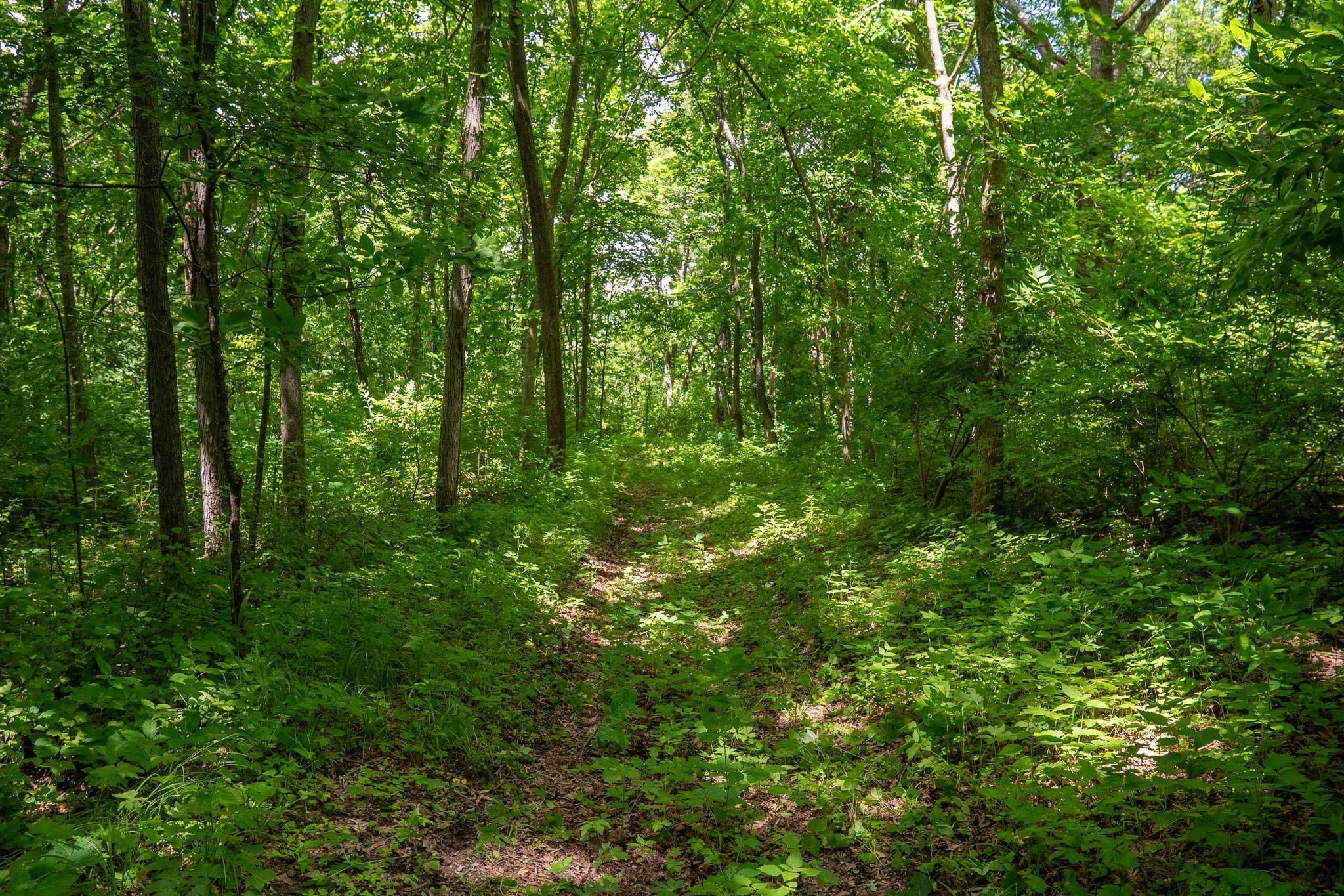 13682 East State Line Road Durand, IL 61024 - Photo 7 of 68