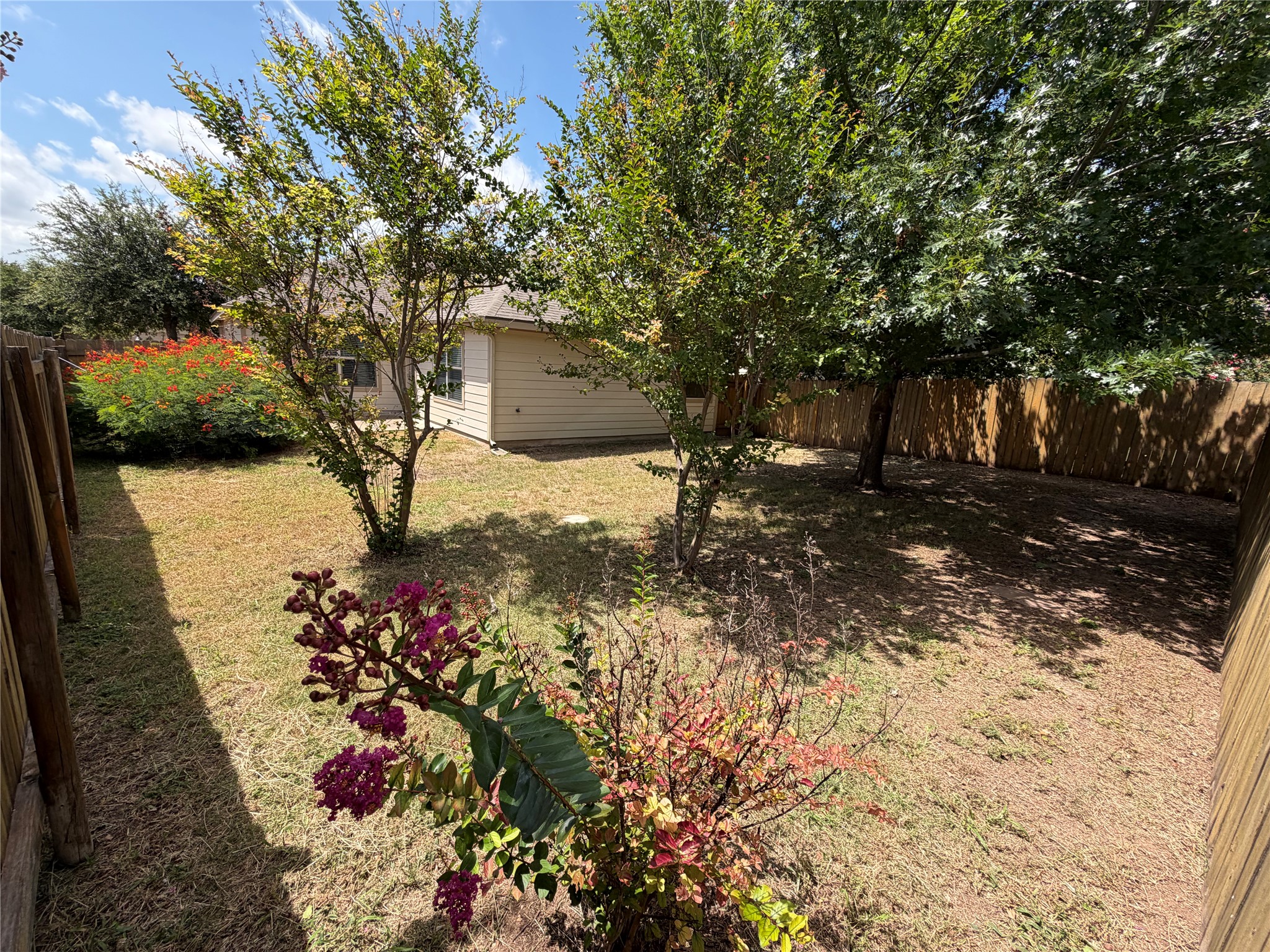 112 Eagle Owl Loop Leander, TX 78641 - Photo 27 of 35 A fenced backyard offers a private outdoor sanctuary, shaded by mature trees and vibrant flowering bushes.