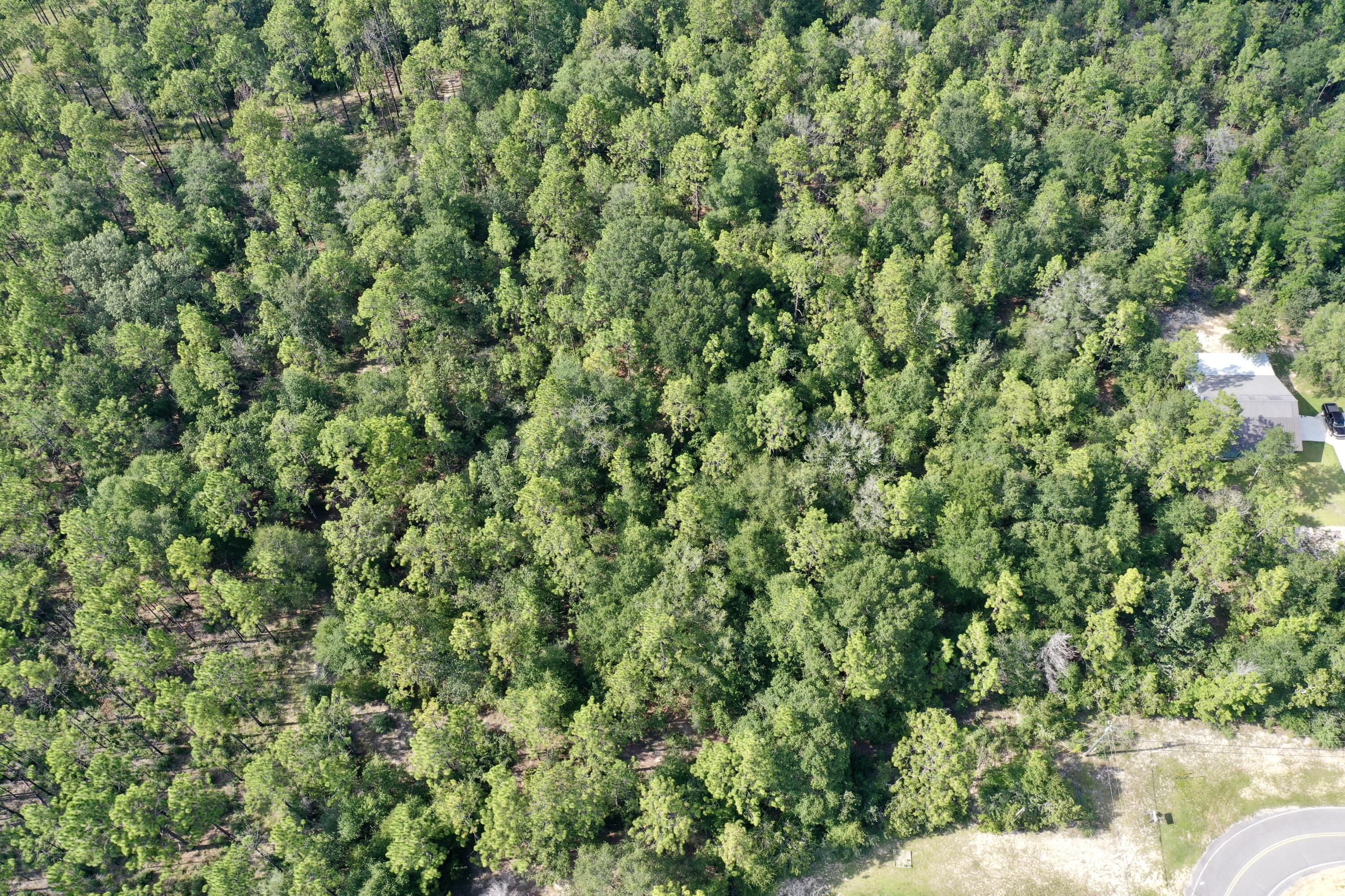 5-ac Possum Ridge Road Crestview, FL 32539 - Photo 3 of 6