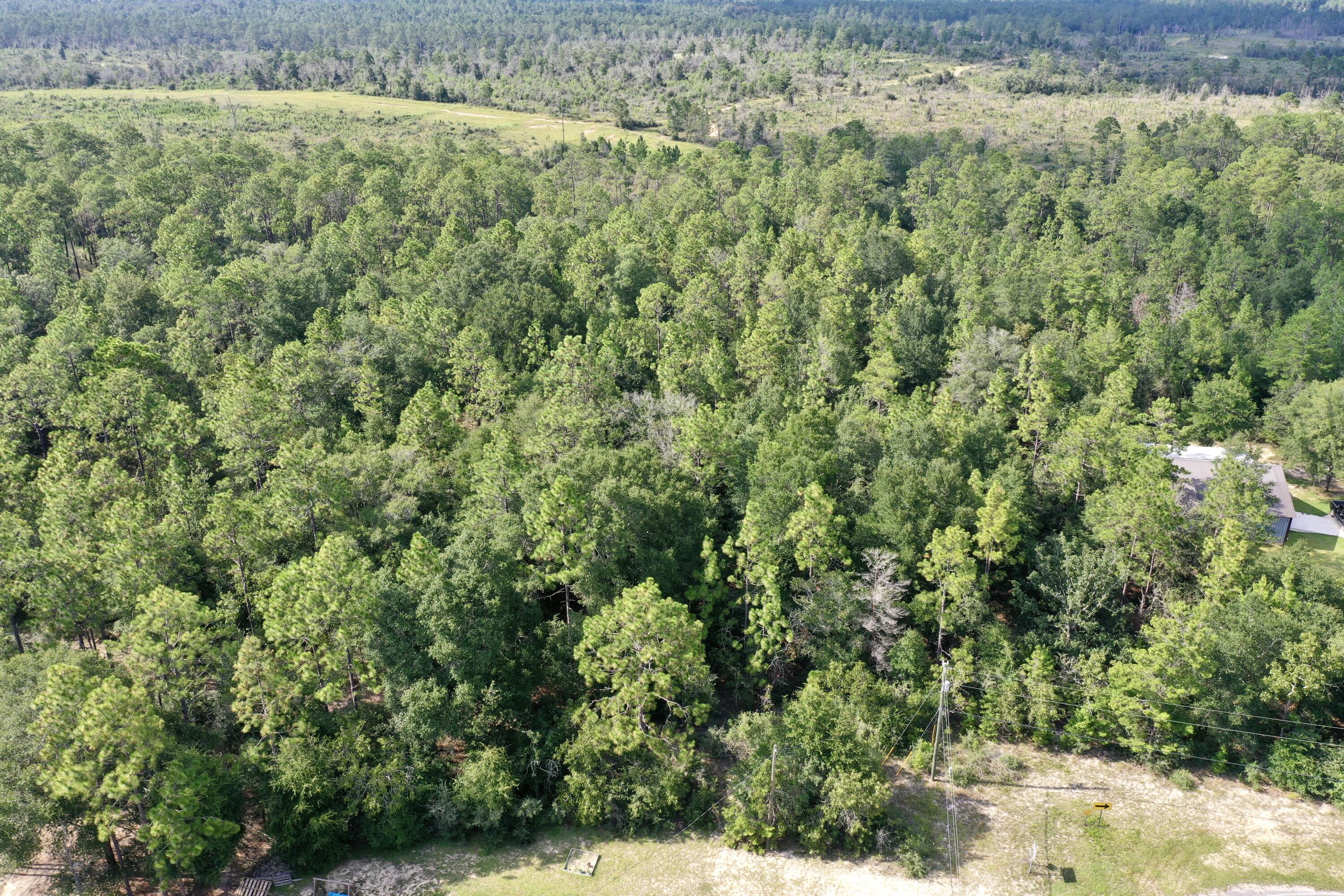 5-ac Possum Ridge Road Crestview, FL 32539 - Photo 5 of 6 a view of a field of grass and trees