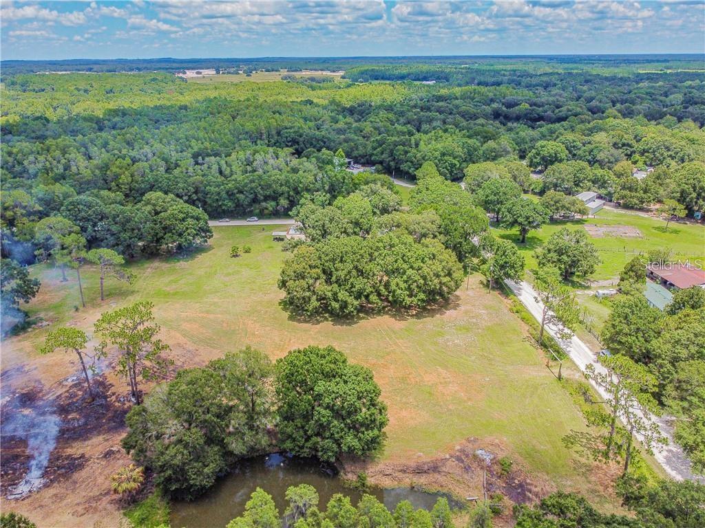 1453 Creek Road Wesley Chapel, FL 33543 - Photo 22 of 26 a view of a water pond with green field