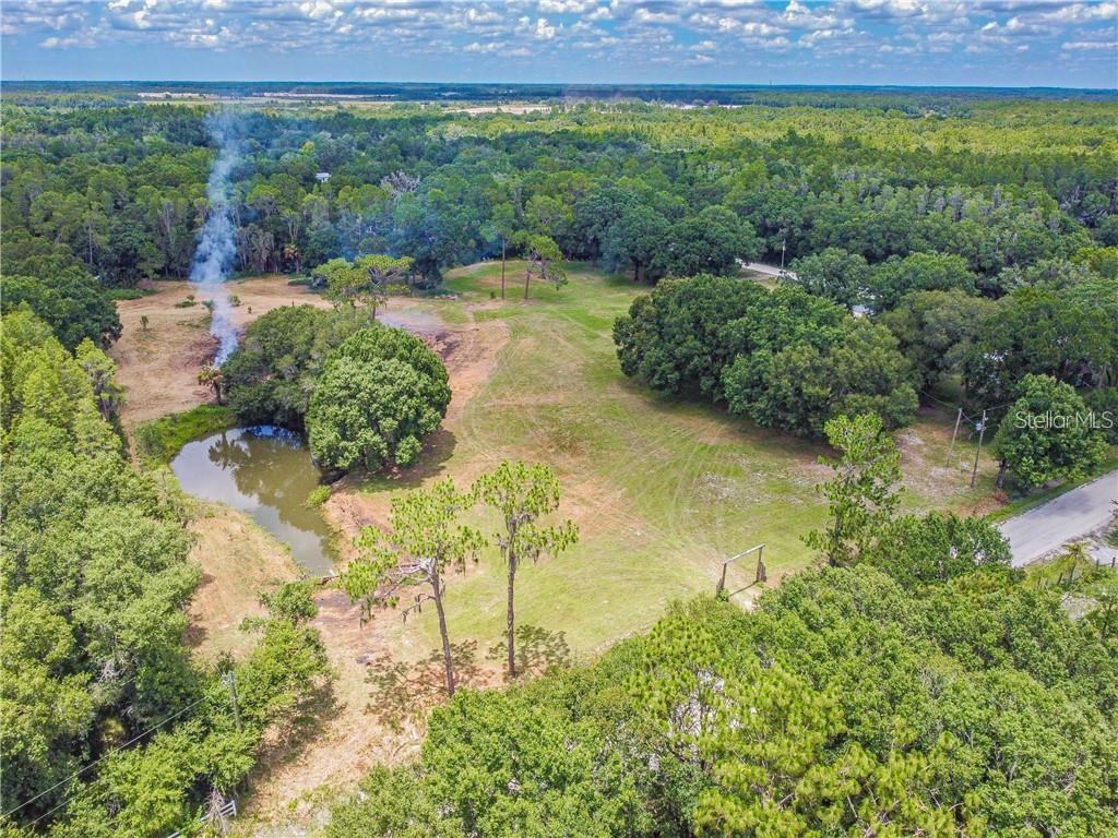 1453 Creek Road Wesley Chapel, FL 33543 - Photo 25 of 26 a view of a garden with a lake
