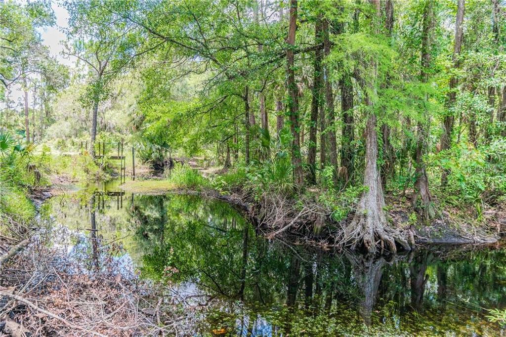 1453 Creek Road Wesley Chapel, FL 33543 - Photo 26 of 26 a view of a garden with plants