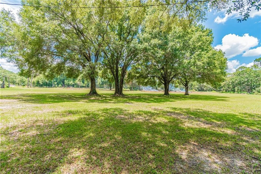 1453 Creek Road Wesley Chapel, FL 33543 - Photo 5 of 26 a view of a space with green field and trees