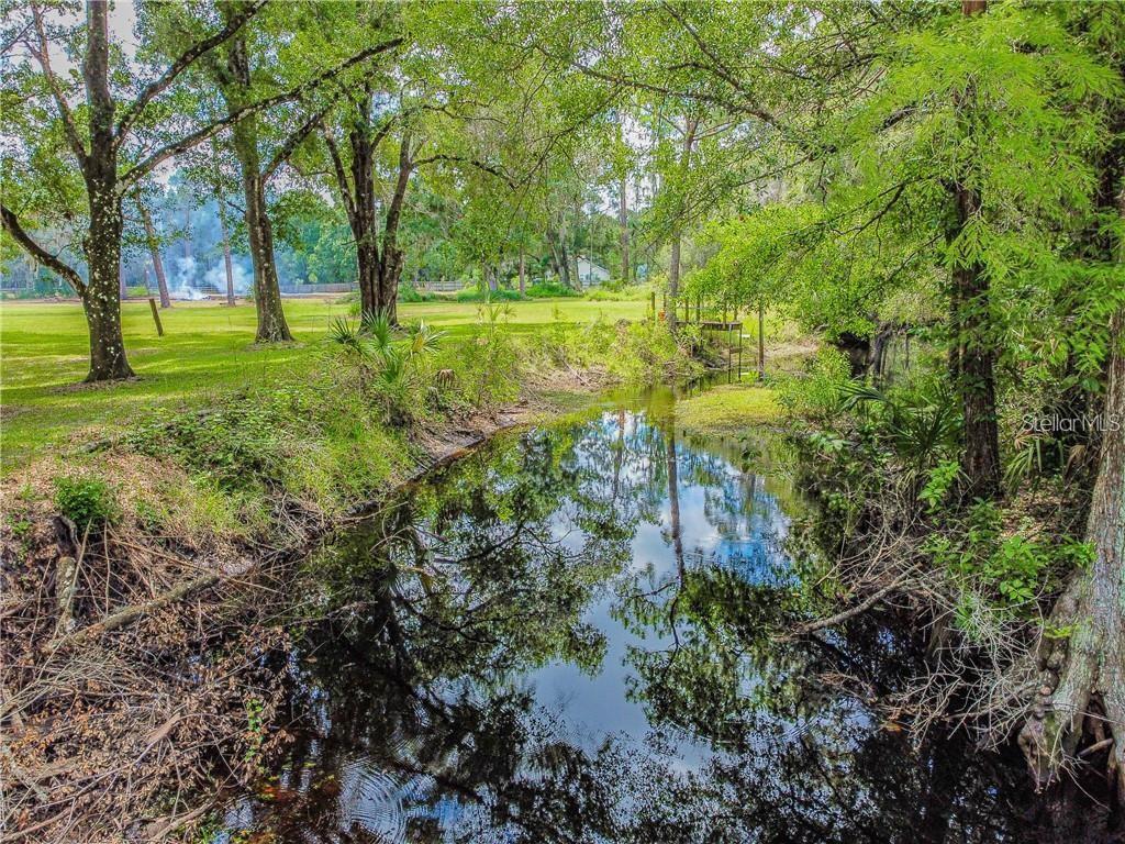 1453 Creek Road Wesley Chapel, FL 33543 - Photo 6 of 26 a view of a big yard with large trees